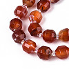 Natural Agate(Dyed & Heated) Beads Strands G-T139-92C-3