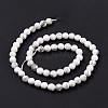 Natural Howlite Beads Strands G-E571-29A-4