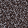 12/0 Two Tone Opaque Glass Seed Beads SEED-T006-01A-A03-2