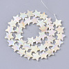 Freshwater Shell Beads Strands X-SHEL-N026-07B-2