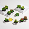 Cactus Paraffin Smokeless Candles DIY-G024-F-2