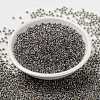 MIYUKI Round Rocailles Beads SEED-JP0009-RR3202-2
