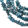 Natural Apatite Beads Strands X-G-F666-01B-02-01-6