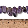 Natural Charoite Beads Strands G-P604-A29-01-5