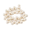 Natural Cultured Freshwater Pearl Beads Strands PEAR-A006-21-3