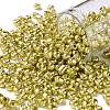 6/0 Glass Seed Beads X1-SEED-A017-4mm-1113-1