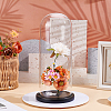 Arch Glass Dome Cover ODIS-WH0030-242B-2