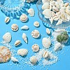 48Pcs 4 Styles Natural Shell Beads BSHE-YW0001-06-4