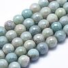 Natural Amazonite Beads Strands G-O164-02-10mm-1