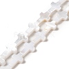 Natural Freshwater Shell Beads Strands X-BSHE-E026-18-2