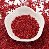 Baking Paint Glass Seed Beads X-SEED-S042-05B-89-2