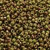 TOHO 6/0 Round Beads SEED-TR06-1209-3