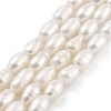 Natural Cultured Freshwater Pearl Beads Strands PEAR-P062-06F-2