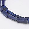 Natural Lapis Lazuli Beads Strands G-E342-11-3
