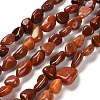 Natural Red Agate Beads Strands G-P497-01E-44-1