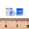 Baking Paint Transparent Glass Beads X1-DGLA-N005-01A-02-4