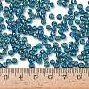TOHO 6/0 Round Beads X-SEED-TR06-0167BD-2