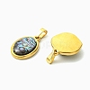 Natural Paua Shell & Acrylic  Pendants PALLOY-JF05942-01-2