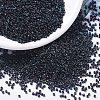 MIYUKI Delica Beads SEED-X0054-DB1003-1
