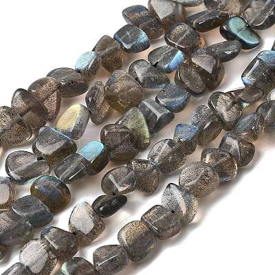 Natural Labradorite Beads Strands G-A279-A01-01-1