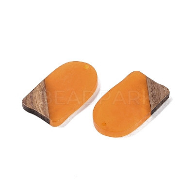 Resin & Wood Pendants WOOD-F015-13E-1