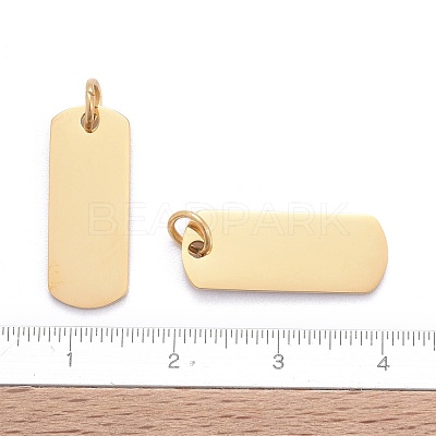 201 Stainless Steel Pendants STAS-S105-T632-2-1