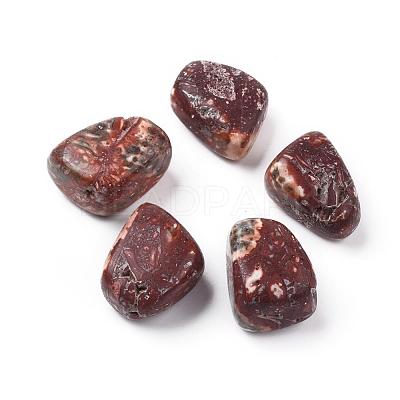 5Pcs Natural Leopardskin Beads G-FS0001-99-1