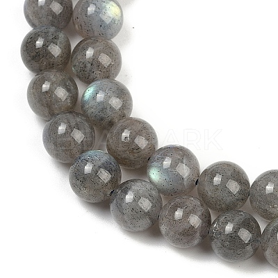Natural Labradorite Beads Strands G-G448-8mm-04A-1