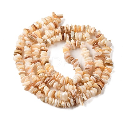 Natural Shell Beads Strands BSHE-G029-01B-1