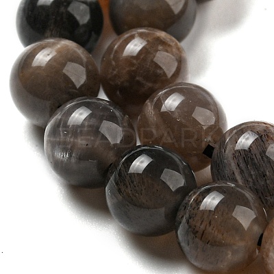 Natural Black Moonstone Beads Strands G-A219-A01-03-1
