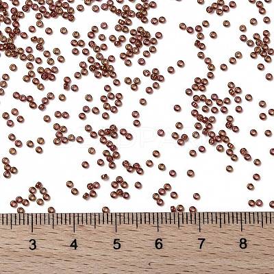 MIYUKI Round Rocailles Beads X-SEED-G009-RR0301-1