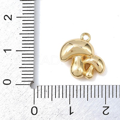 Brass Micro Pave Clear Cubic Zirconia Charms LS-KK-G545-21G-1