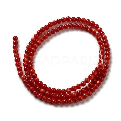 Natural Freshwater Shell Beads Strands SHEL-H003-03G-1