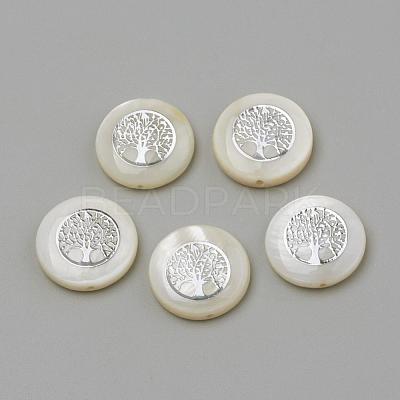 Natural Freshwater Shell Beads SHEL-Q011-006P-1