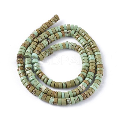 Natural Howlite Beads Strands X-TURQ-L030-04A-02-1