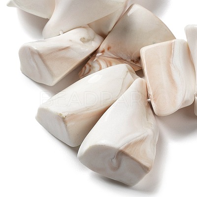 Natural Shell Beads Strands BSHE-M034-02-1
