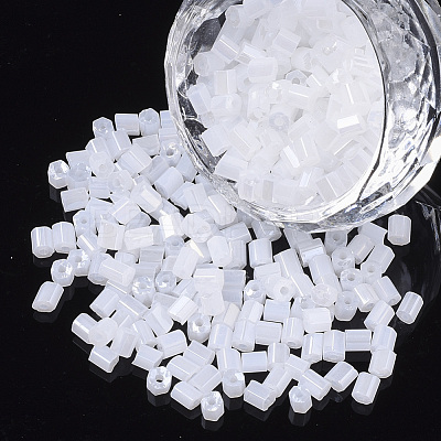 6/0 Two Cut Glass Seed Beads SEED-S033-07B-03-1