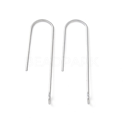 316 Surgical Stainless Steel Earring Hooks X-STAS-Z124-02D-P-1