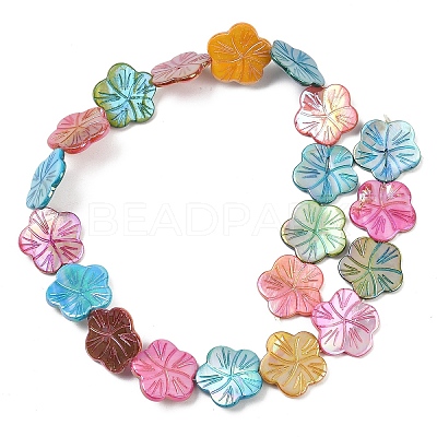 1 Strand Natural Freshwater Shell Beads Strands SHEL-YW0001-17-1