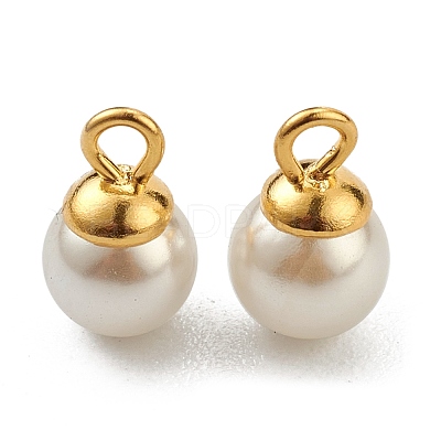 304 Stainless Steel Charms STAS-Z009-02D-G-1