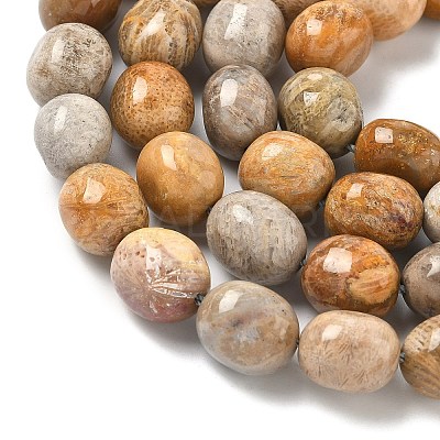 Natural Fossil Coral Beads Strands G-C038-02T-1