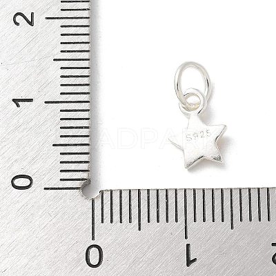 S925 Sterling Silver Pendant STER-H115-04B-S-1
