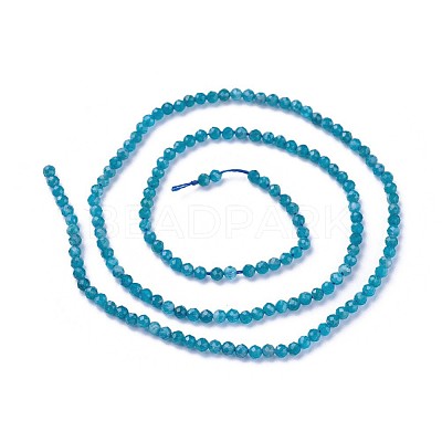 Natural Apatite Beads Strands G-F619-13B-2mm-1