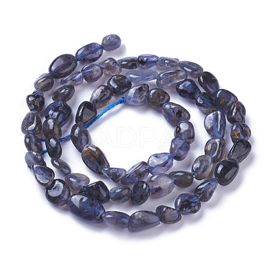 Natural Iolite Beads Strands G-P433-13-1