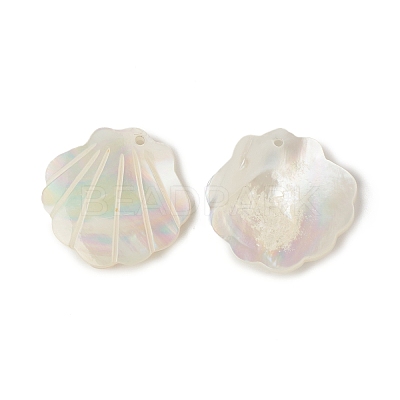 Natural Sea Shell Pendants SSHEL-T012-11-1