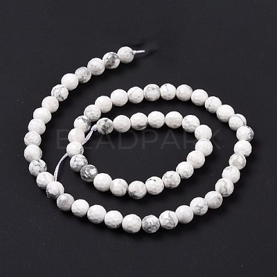 Natural Howlite Beads Strands G-E571-29A-1