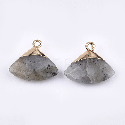 Electroplate Natural Labradorite Pendants G-T112-04A-1