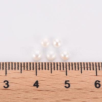 Natural Cultured Freshwater Pearl Beads PEAR-P056-048-1