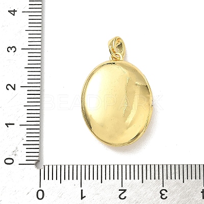 Brass Micro Pave Clear Cubic Zirconia Locket Pendants KK-F905-03G-1