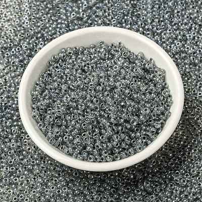 MIYUKI Round Rocailles Beads SEED-G008-RR0240-1